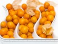 脆皮金桔怎么多掛果子（脆皮金桔怎樣摘果）