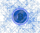 柑桔枝條修剪視頻全攻略：掌握關鍵技巧輕松提升果樹產量