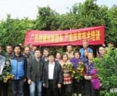 柑橘種植專利技術_巴斯夫健武產(chǎn)品說明