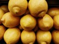 科技賦能農(nóng)業(yè)：極早熟柑橘新品種“早豐1號(hào)”突破傳統(tǒng)種植周期