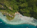 柑橘種植地區(qū)平原嗎還盆地（柑橘主要種植在哪里）