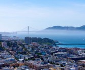 柑橘類全國(guó)有名產(chǎn)地有哪些城市（中國(guó)柑橘主要產(chǎn)地）