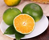 沃柑幼樹(shù)施肥技術(shù)（沃柑種植前期怎樣施肥管理?）