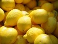 柑橘苗種植技術(shù)要點總結(jié)圖（柑橘苗栽植）
