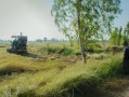 四川平泉荷橋村柑橘基地喜迎豐收，打造鄉(xiāng)村振興特色產(chǎn)業(yè)示范區(qū)