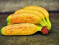 大雅柑成熟時(shí)間多少（大雅柑的生長(zhǎng)條件）