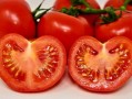哪個柑品種好吃好養(yǎng)（哪個柑品種好吃好養(yǎng)活）