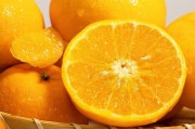 斗羅武魂世界樹(shù)柑橘林：覺(jué)醒之秘與永恒守護(hù)