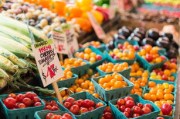 華美七號柑橘樹苗價格多少？2023年最新市場行情解析