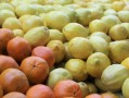 全球頂尖柑橘品種權(quán)威盤點(diǎn)：揭秘世界上最頂級柑橘品種排名榜單