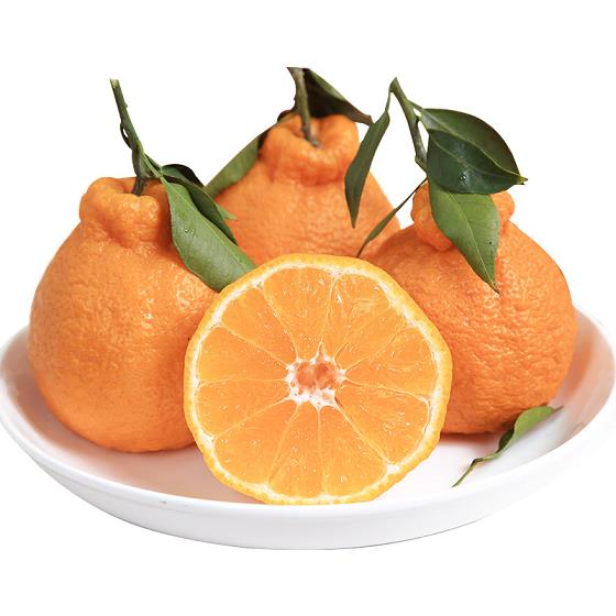小蜜桔含糖量高不高呀怎么回事（小蜜桔的營養(yǎng)成分）