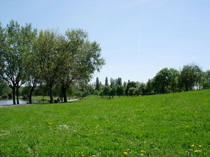 忠縣地區(qū)柑橘種植技術(shù)（忠縣柑橘基地）