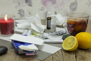 深度解析：目前最優(yōu)良柑橘品種哪一個(gè)更勝一籌？