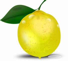 柑橘果實藥害怎樣補救？應(yīng)急處理與科學防治措施解析