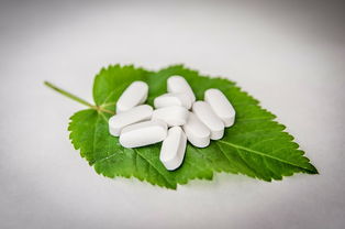 柑橘晚熟高產(chǎn)新品種有哪些呢（晚熟柑橘的食材價格）